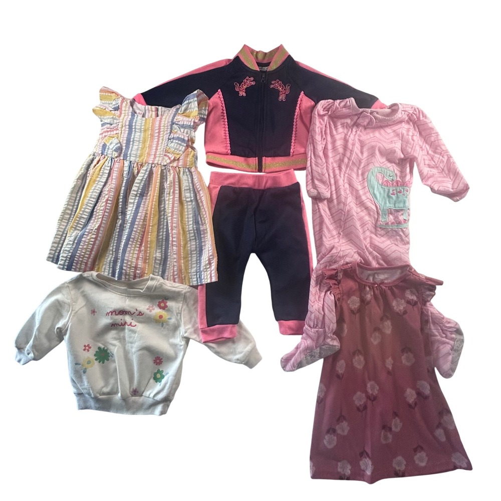 Baby Toddler Girls Clothes Bundle Lot 12 months